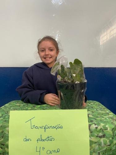 WhatsApp-Image-2024-05-29-at-15.10.36-4