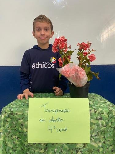 WhatsApp-Image-2024-05-29-at-15.11.38-2