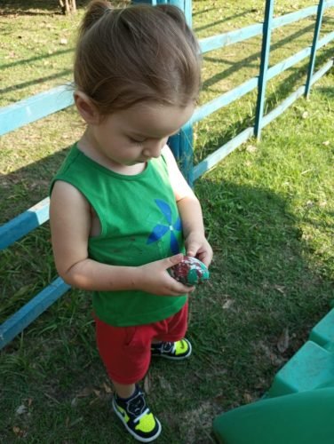 0873db55-d639-4c58-9f36-49a0a8569d5a