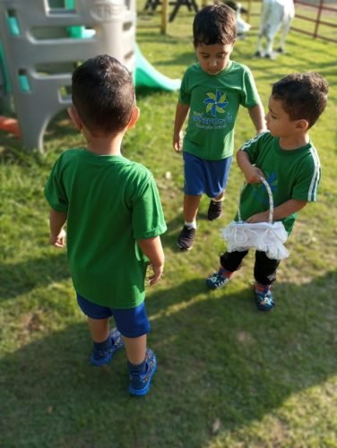 95155a22-f03b-4352-a3a2-74ffecbf9241