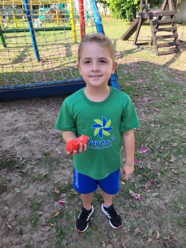 bcd6dc91-d75e-4e8f-9573-69379259a9ae