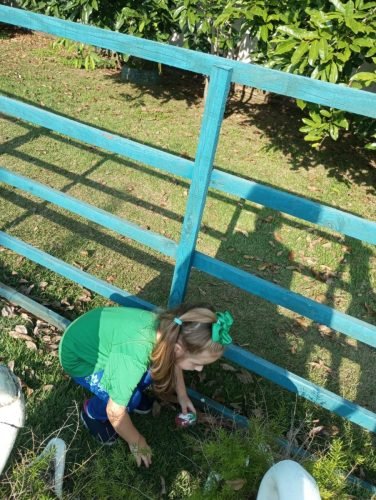 c2b74613-54c4-44db-8766-204c9eaf9621