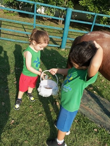 d20cfd85-1581-4c2e-a43b-ab6a95044758