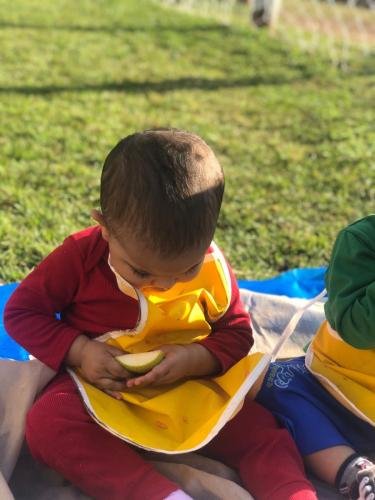 WhatsApp-Image-2024-06-07-at-16.40.19-1