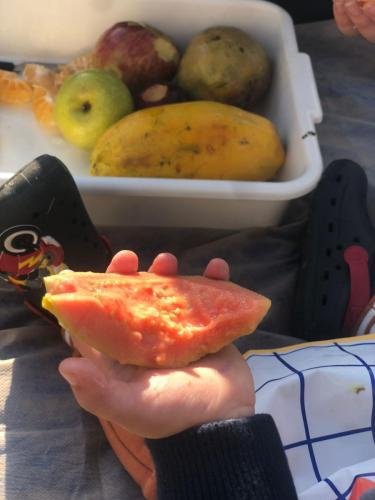 WhatsApp-Image-2024-06-07-at-16.40.23-1