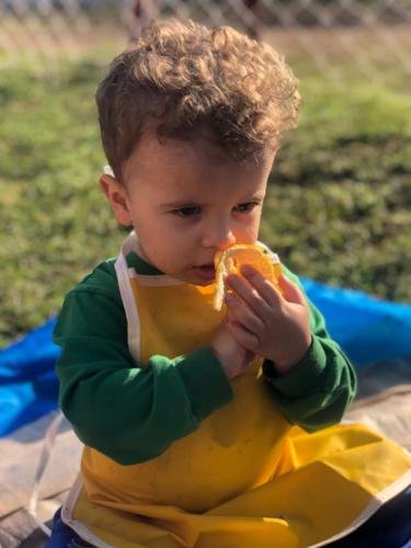 WhatsApp-Image-2024-06-07-at-16.40.25-1