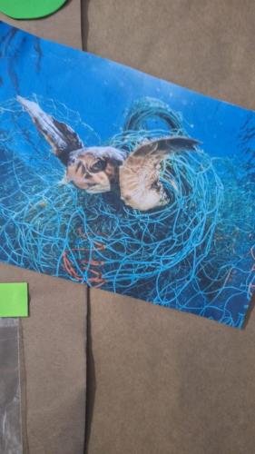 WhatsApp-Image-2024-06-07-at-10.41.52-1