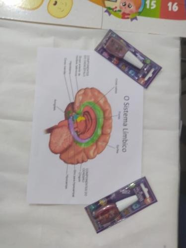 WhatsApp-Image-2024-06-07-at-11.41.26