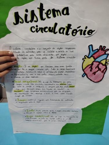 WhatsApp-Image-2024-06-11-at-15.57.56