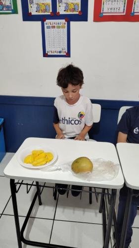 WhatsApp-Image-2024-06-11-at-15.58.15-2