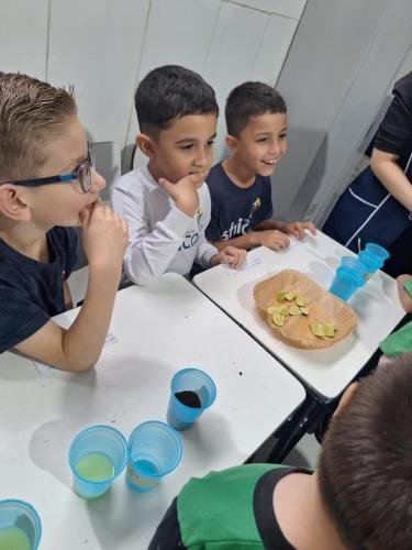 WhatsApp-Image-2024-06-11-at-16.31.59