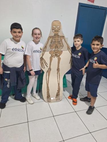 WhatsApp-Image-2024-06-11-at-16.36.31