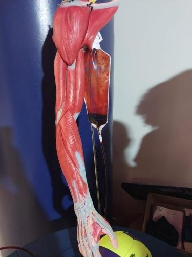 WhatsApp-Image-2024-06-13-at-09.12.57