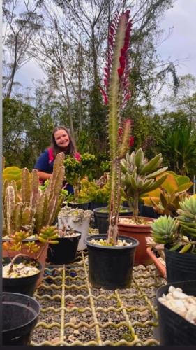 WhatsApp-Image-2024-06-04-at-16.47.20-2