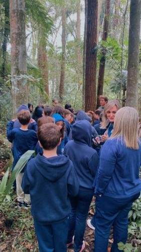 WhatsApp-Image-2024-06-04-at-16.55.52-1