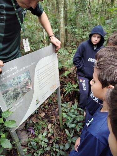 WhatsApp-Image-2024-06-04-at-16.58.46