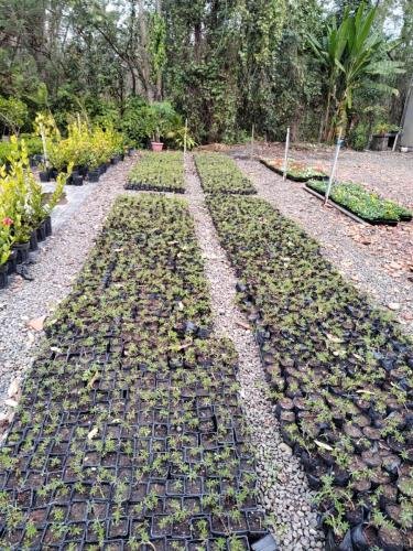 WhatsApp-Image-2024-06-04-at-17.01.27