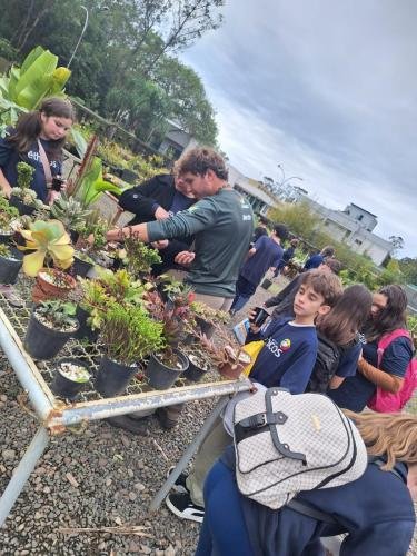 WhatsApp-Image-2024-06-05-at-08.20.07