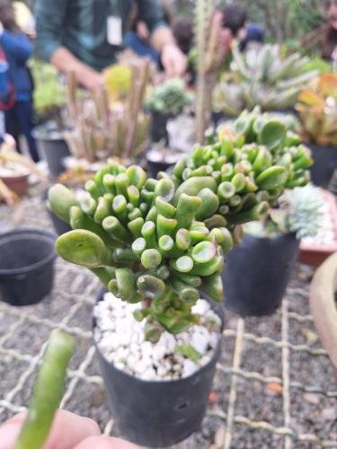 WhatsApp-Image-2024-06-05-at-08.20.35-3