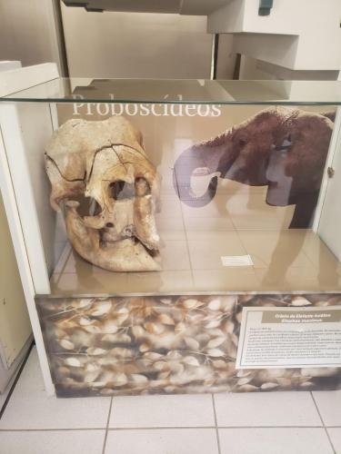 WhatsApp-Image-2024-06-07-at-16.46.57-1