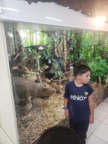 WhatsApp-Image-2024-06-07-at-16.46.57