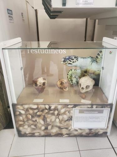 WhatsApp-Image-2024-06-07-at-16.46.58-1