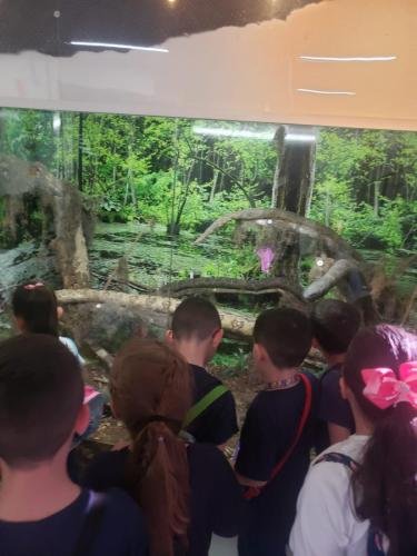 WhatsApp-Image-2024-06-07-at-16.46.58