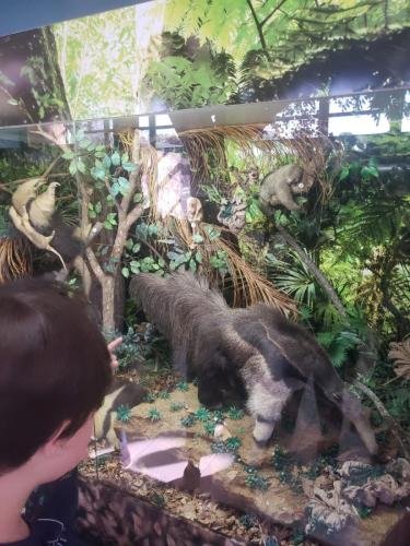 WhatsApp-Image-2024-06-07-at-16.47.01