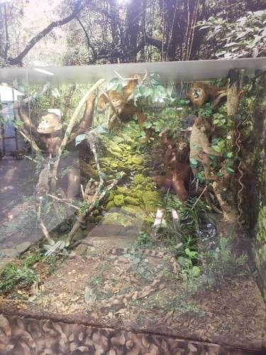 WhatsApp-Image-2024-06-07-at-16.47.02