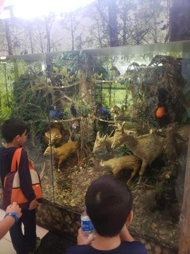 WhatsApp-Image-2024-06-07-at-16.47.05-1