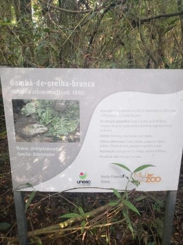 WhatsApp-Image-2024-06-07-at-16.47.05-3