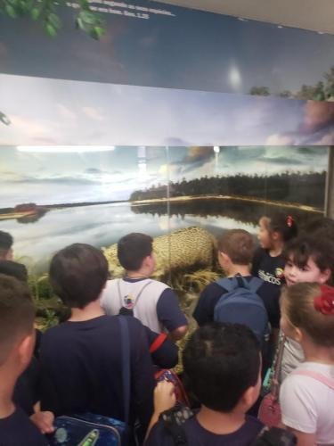 WhatsApp-Image-2024-06-07-at-16.47.05