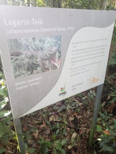 WhatsApp-Image-2024-06-07-at-16.47.06-1