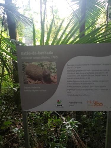 WhatsApp-Image-2024-06-07-at-16.47.07