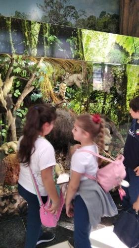 WhatsApp-Image-2024-06-07-at-16.47.12-1