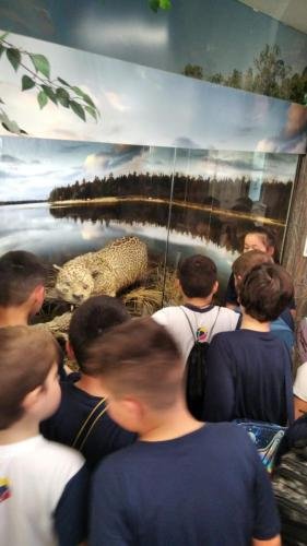 WhatsApp-Image-2024-06-07-at-16.47.12-3