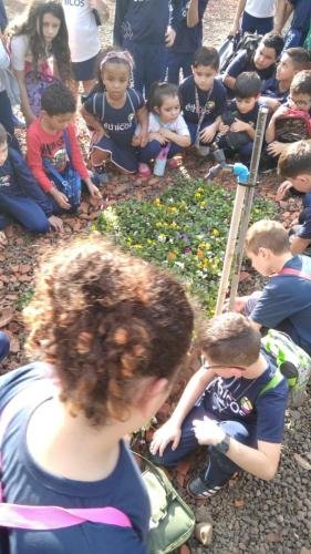 WhatsApp-Image-2024-06-07-at-16.47.15-1