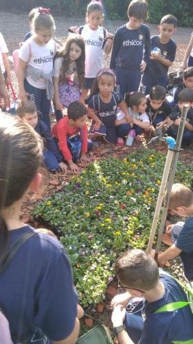 WhatsApp-Image-2024-06-07-at-16.47.15-3