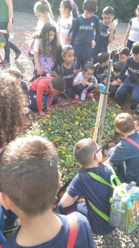 WhatsApp-Image-2024-06-07-at-16.47.15-4