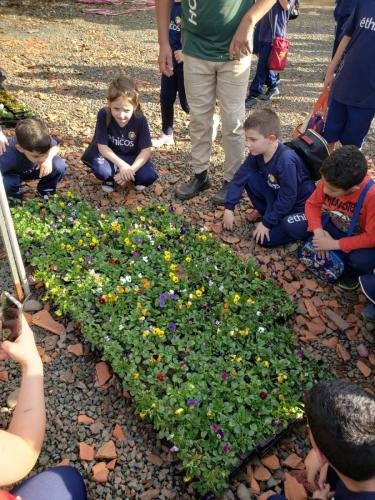 WhatsApp-Image-2024-06-07-at-16.47.16