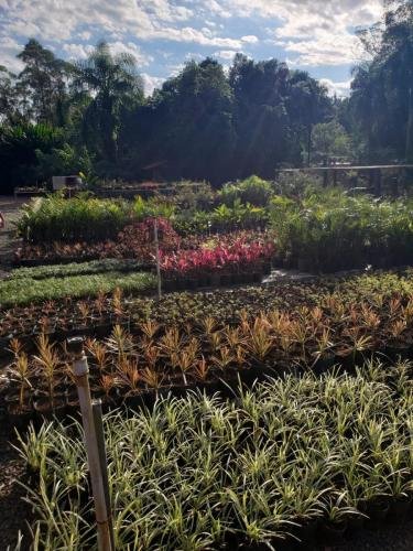 WhatsApp-Image-2024-06-07-at-16.47.30-2