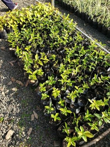 WhatsApp-Image-2024-06-07-at-16.47.30-4