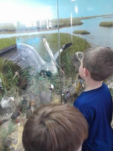 WhatsApp-Image-2024-06-07-at-20.32.48-1