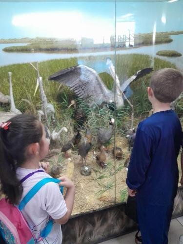 WhatsApp-Image-2024-06-07-at-20.32.48