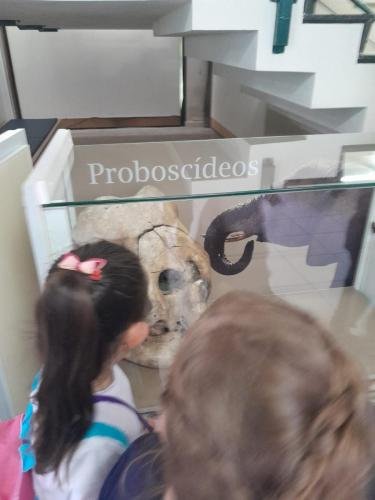 WhatsApp-Image-2024-06-07-at-20.32.49-1