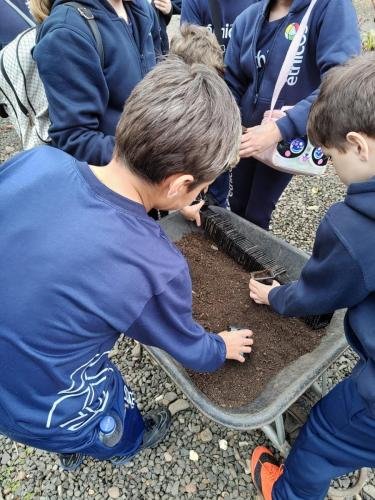 WhatsApp-Image-2024-06-07-at-20.34.00