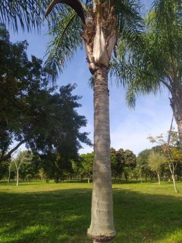 WhatsApp-Image-2024-06-10-at-19.29.48