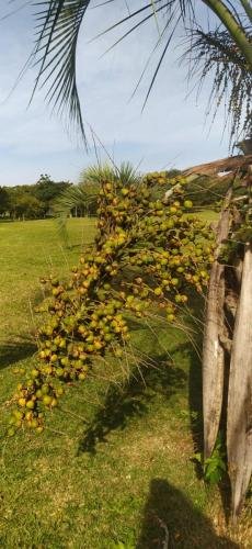 WhatsApp-Image-2024-06-10-at-19.29.49