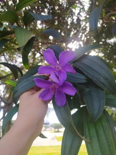 WhatsApp-Image-2024-06-10-at-19.29.51