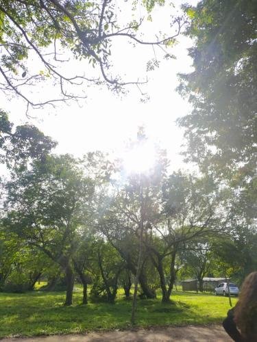 WhatsApp-Image-2024-06-10-at-19.30.05-2